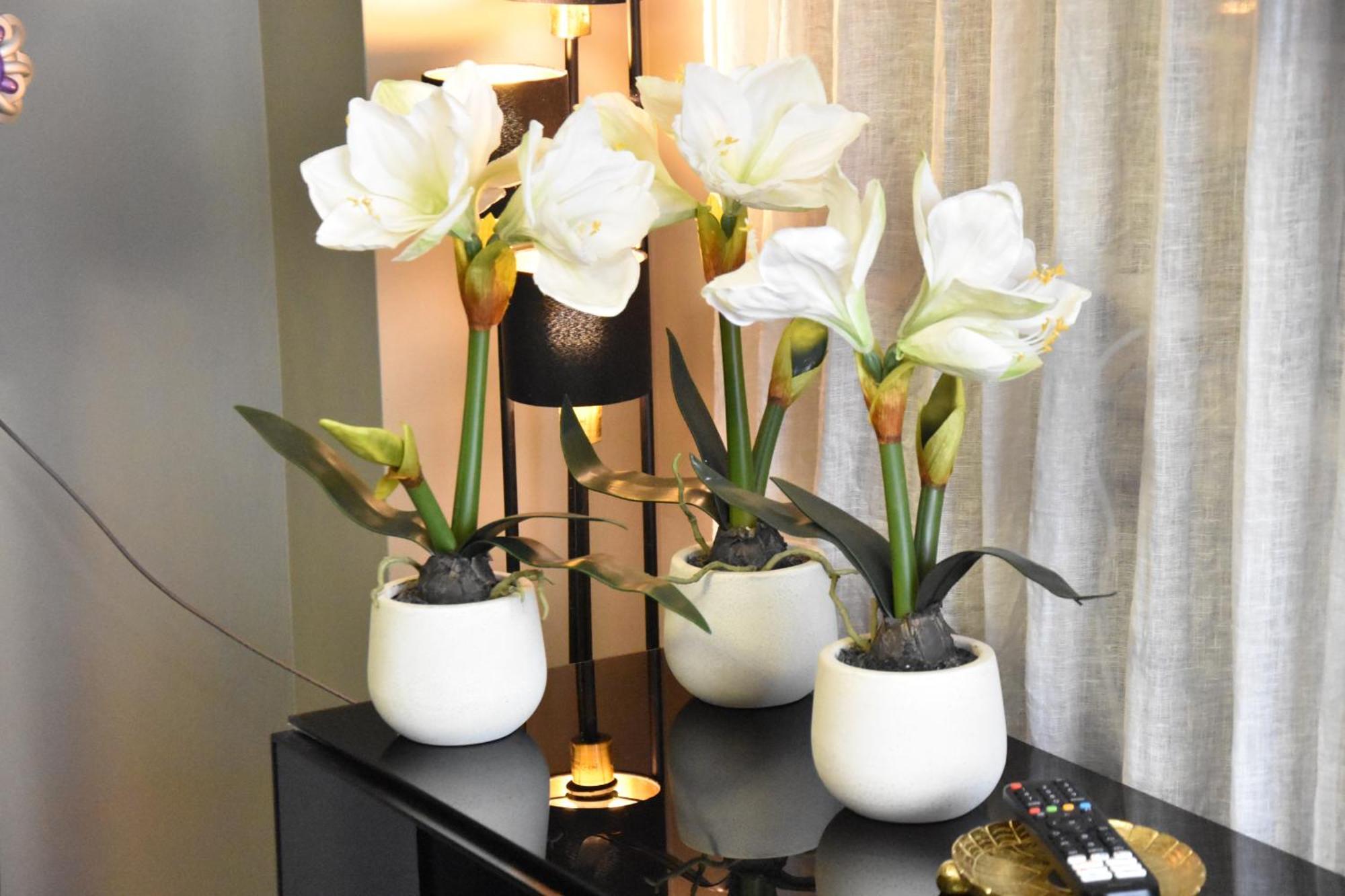 Diasof Apartment Rome